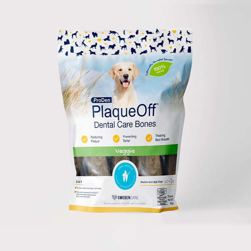 스웨덴케어 프로덴 플라그오프 덴탈케어본 482g 혼합야채