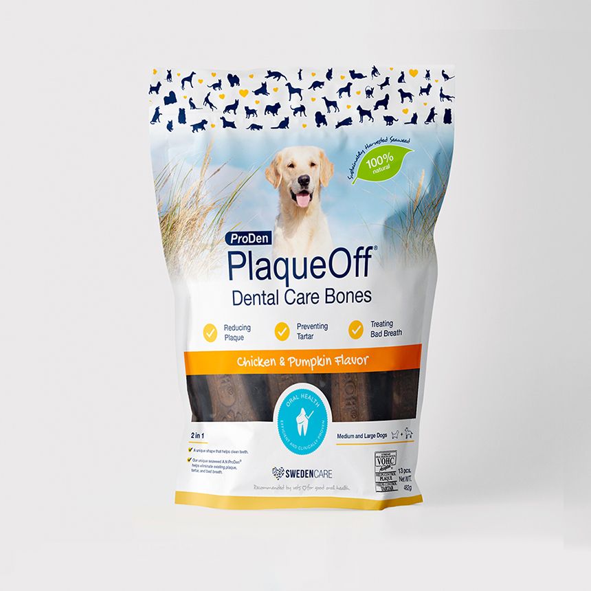 스웨덴케어 프로덴 플라그오프 덴탈케어본 482g 치킨호박
