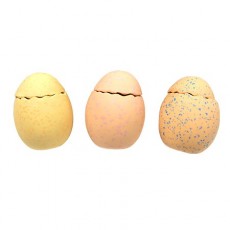 씨씨펫 라텍스 칼리 쥬라기 에그