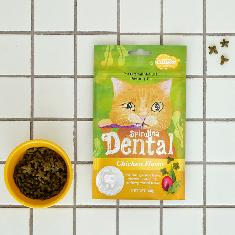 캣템 스피루리나 덴탈 치킨 60g