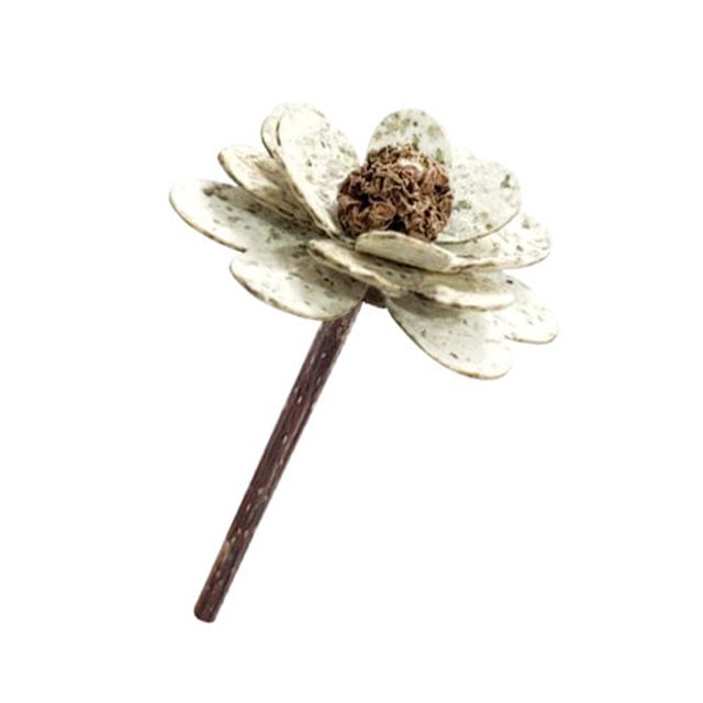 캣완트 캣닢종이 무궁화