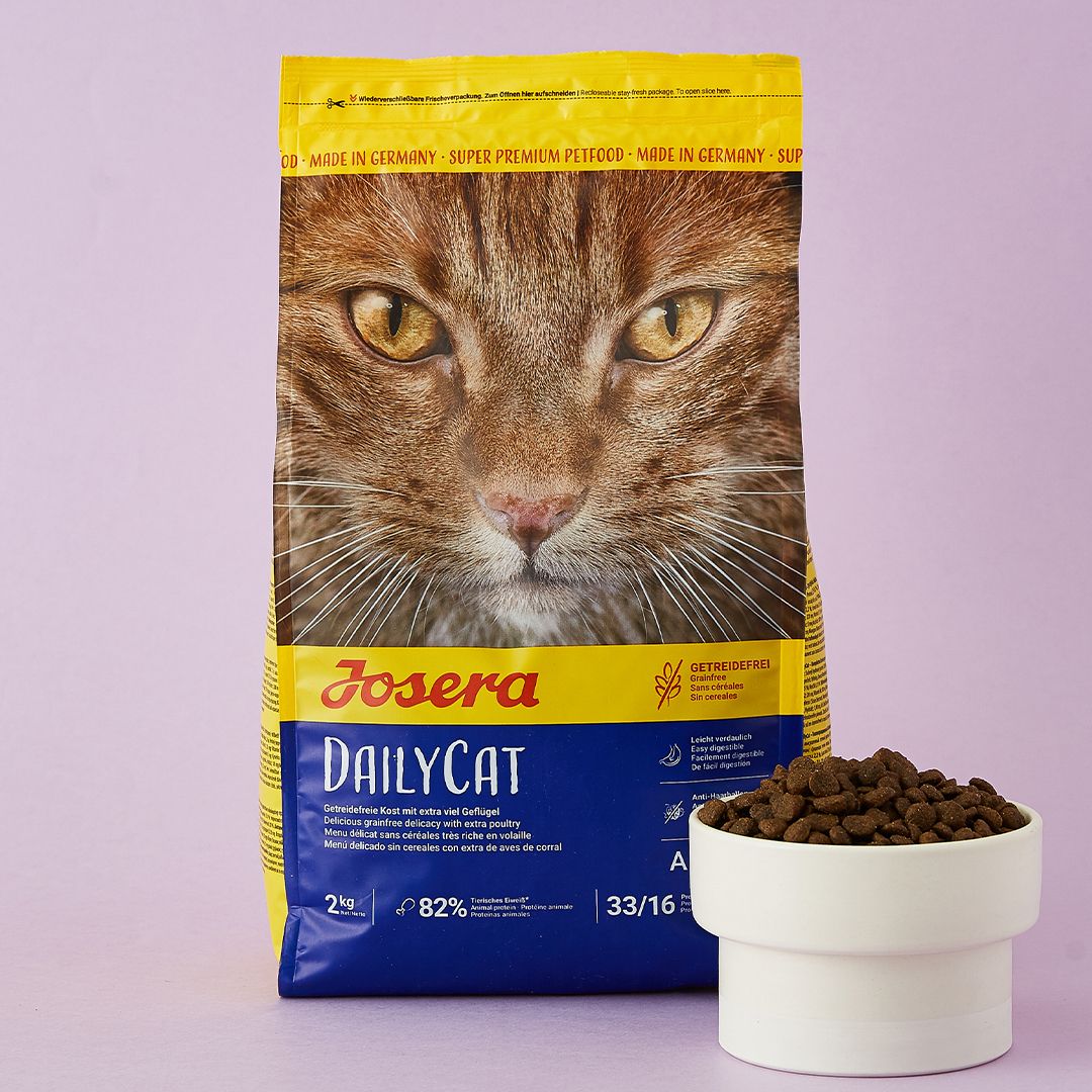 요세라캣 데일리 2kg