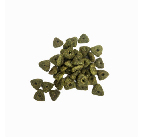 닥터뮨 캣 쿠앙 크런치 덴탈 연어 40g