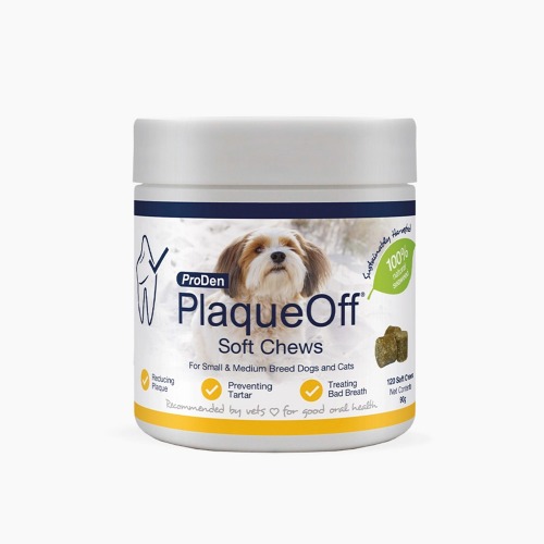 프로덴 플라그오프 소프트 츄 독