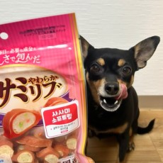 도기맨 사사미 소프트립 80g